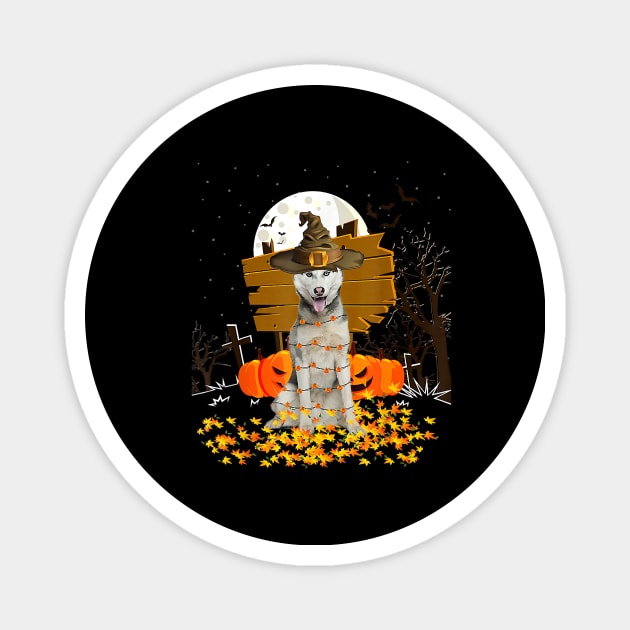 My Husky Pumpkins Halloween Dog Magnet by JaydeMargulies